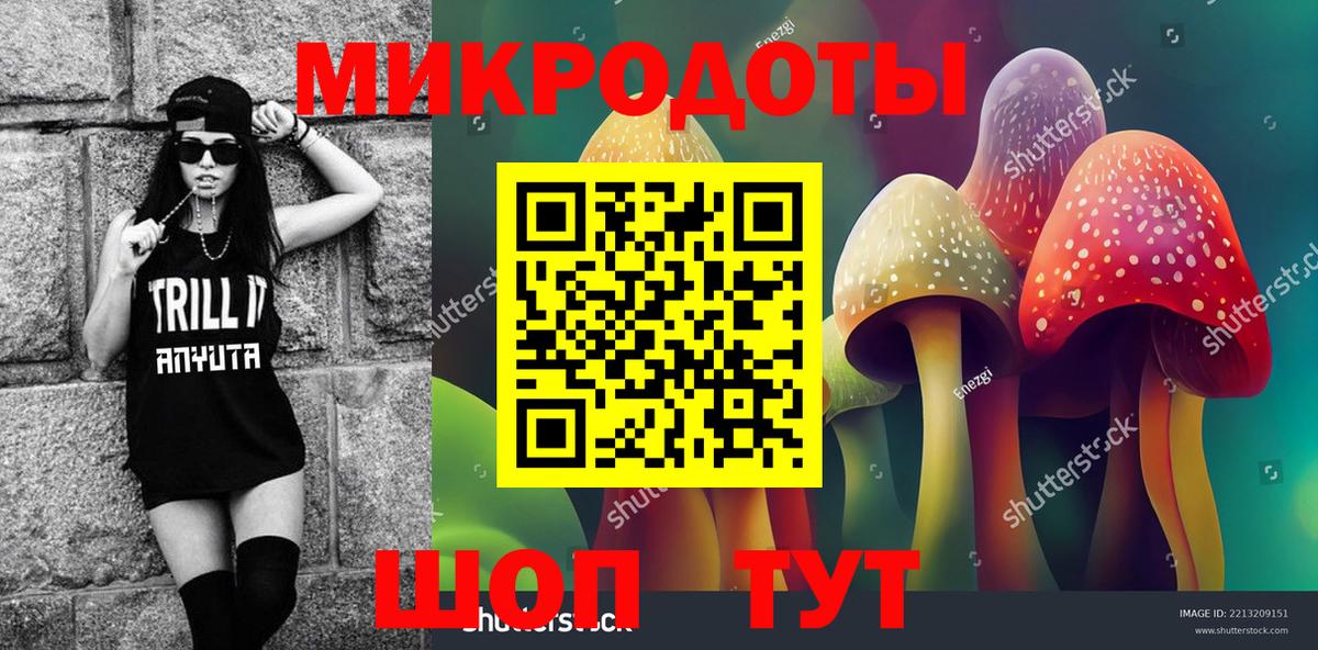 Псилоцибиновые грибы Psilocybine cubensis Ставрополь
